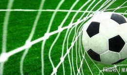 瑞士足球爆料视频最新下载,独家下载揭秘内幕瞬间